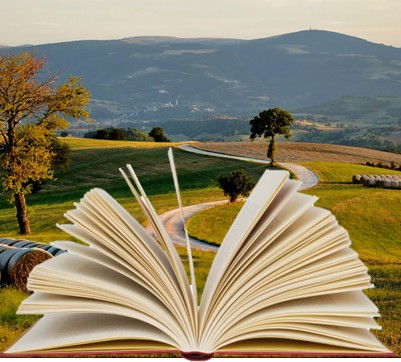Marche Book Style
