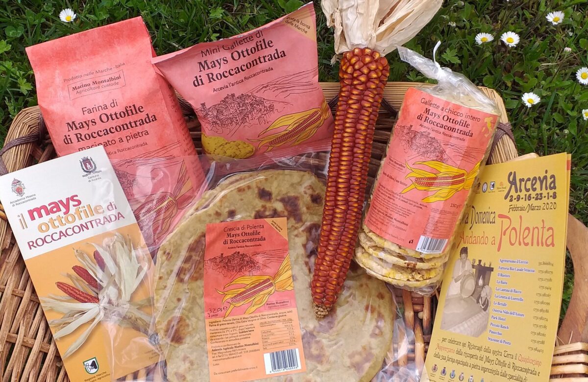 Nei week end di febbraio e marzo, ad Arcevia “si va a polenta”!