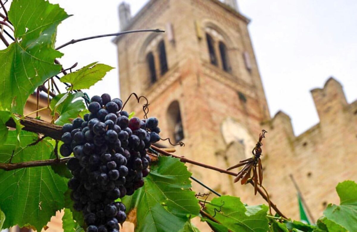 Feste di vendemmia: alla scoperta de “i sughitti” a Montecassiano