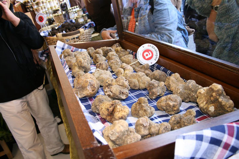 Nelle Alte Marche la cinquasettesima Fiera Nazionale del tartufo di Acqualagna