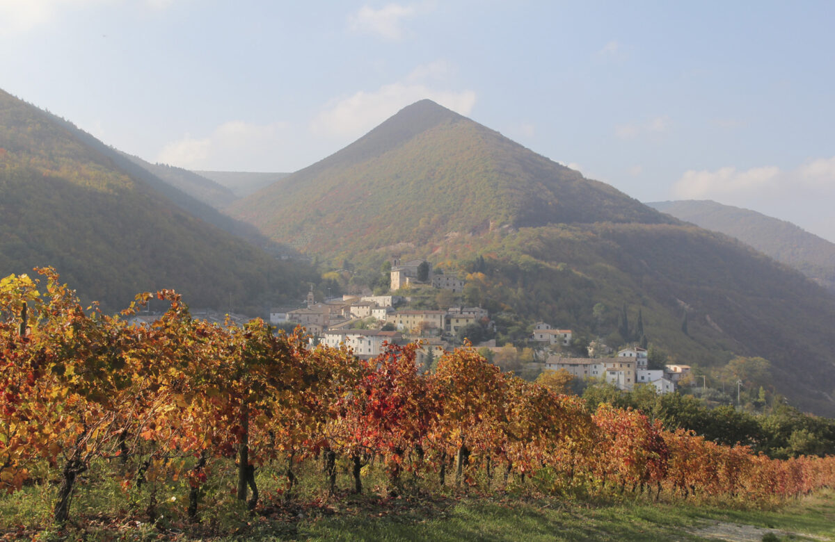Appassimenti Aperti: benvenuti a Serrapetrona!