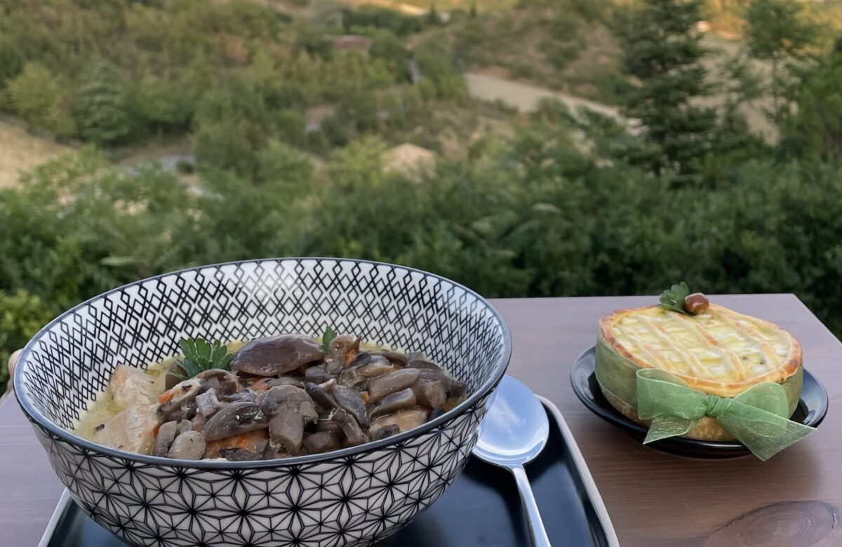 Il Grand Tour delle Marche fa tappa nelle Alte Marche con “Cagli, Terre del fungo”