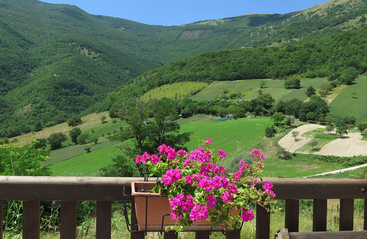 Green Community e Next Appennino: l’anno che verrà e il futuro possibile
