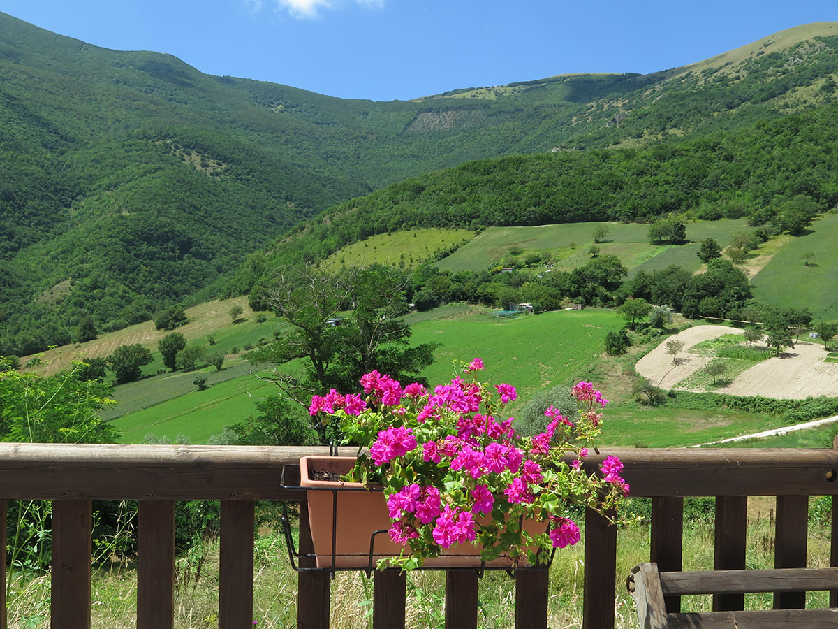  Green Community e Next Appennino: l’anno che verrà e il futuro possibile